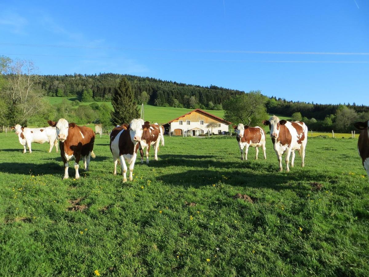 Bed and Breakfast La Ferme Du Bonheur Pierrefontaine-les-Varans Exterior foto